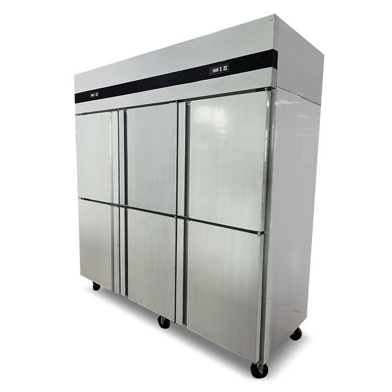 Frigorifero Commerciale a 6 Po - Commercial Kitchen Refrigerator recensione e prezzo