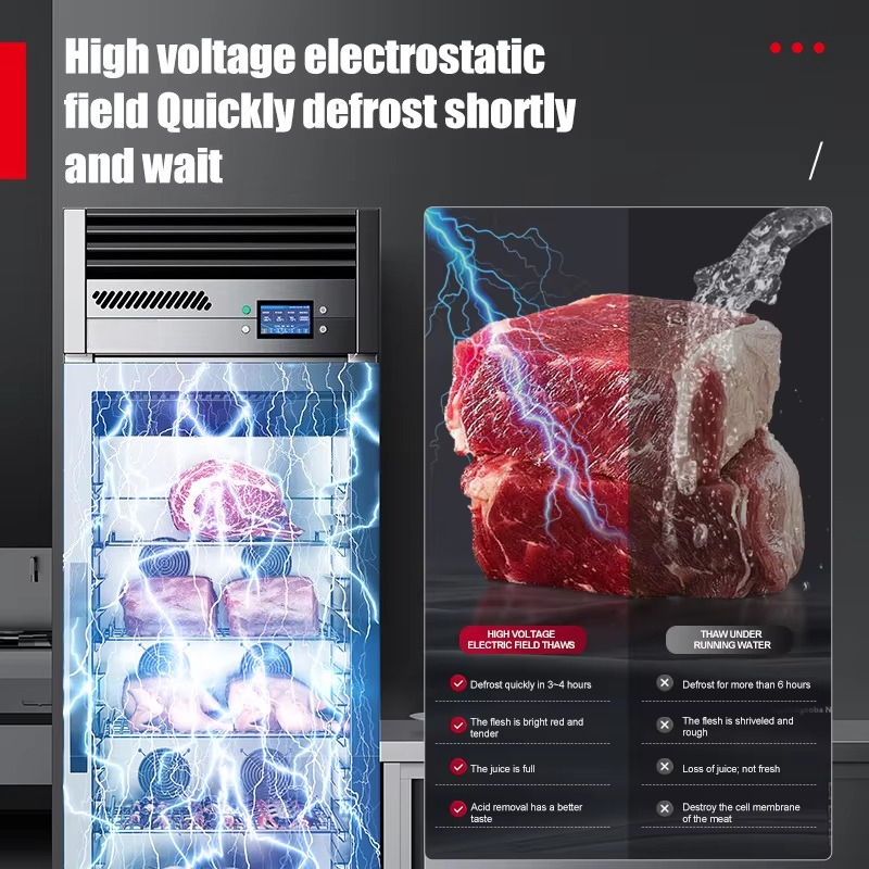 Armadio Elettrostatico Intelli - Commercial Kitchen Refrigerator recensione e prezzo