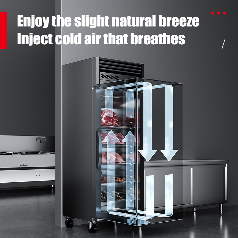 Armadio Elettrostatico Intelli - Commercial Kitchen Refrigerator recensione e prezzo