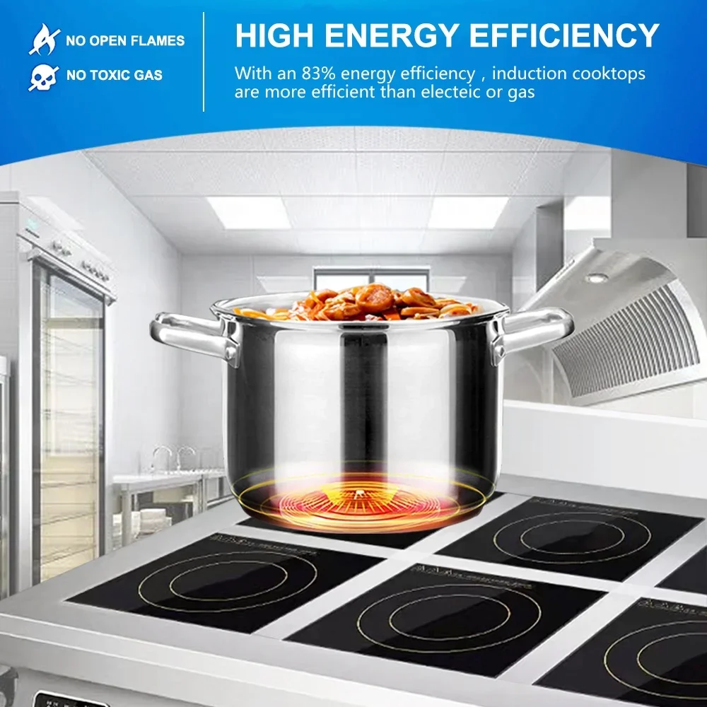Fornello a induzione commercia - Commercial Kitchen Induction recensione e prezzo