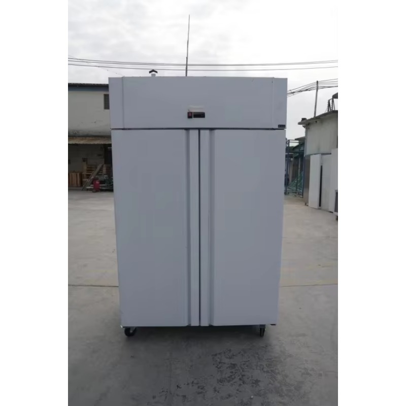 Frigorifero Commerciale per Ri - Commercial Kitchen Refrigerator recensione e prezzo
